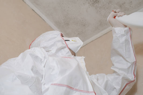 Mold Documentation for Insurance Claims in Rosamond, CA